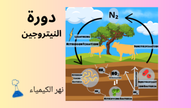 دورة النيتروجين: سر حياة الطبيعة وتوازن الكوكب